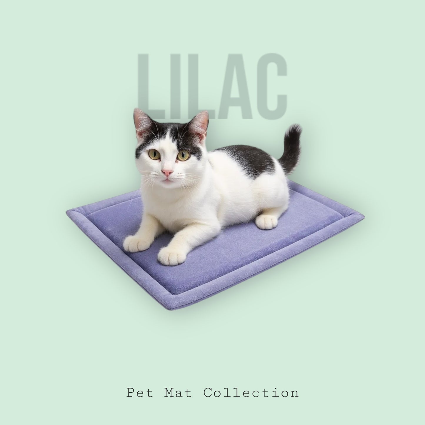 Pet Mat (pre-order)