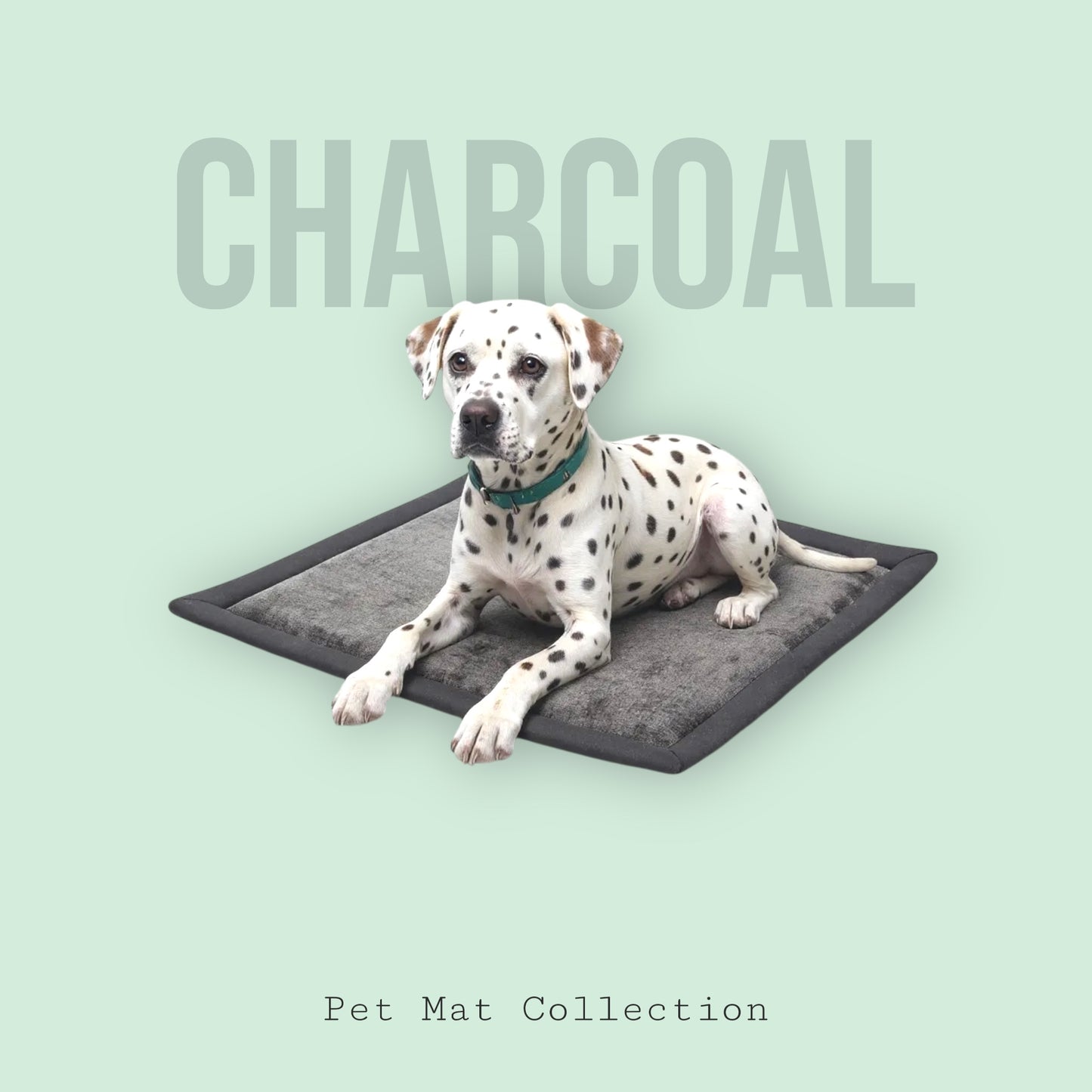 Pet Mat (pre-order)