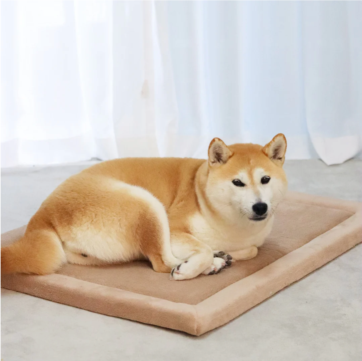 Pet Mat (pre-order)